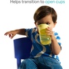 image:imageMunchkin Miracle 360 Sippy Cup for Toddlers 10oz 2 Pack BlueYellow